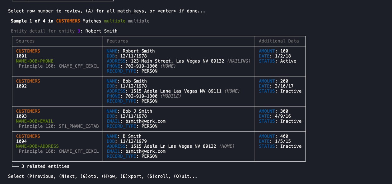 data_source_summary entity detail