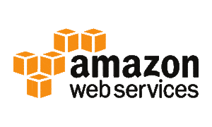 Aws entity resolution with senzing