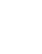 Senzing api gradient the senzing sdk -