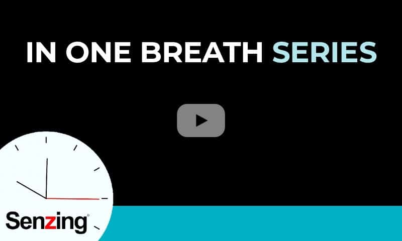 Senzing api entity resolution in one breath video series