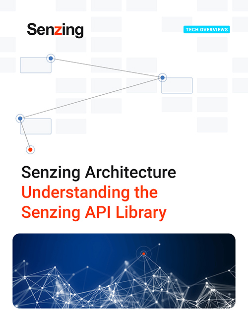 Senzing api architecture