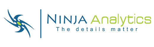 Senzing featured partners ninja analytics system integrators -