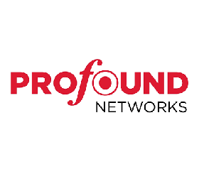 Profound networks partners with senzing entity resolution