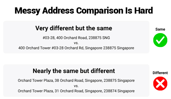 Multicultural address matching with entity resolution