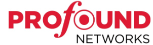 Profound Networks partners with Senzing Entity Resolution