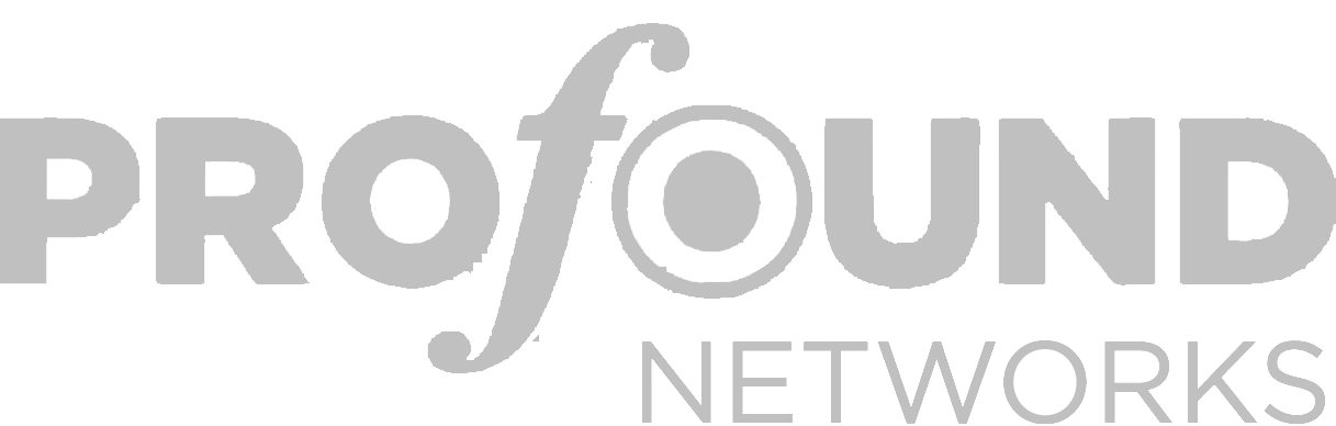 Profound networks grey logo home -
