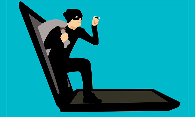 Bad Guy_Pixabay_800x480