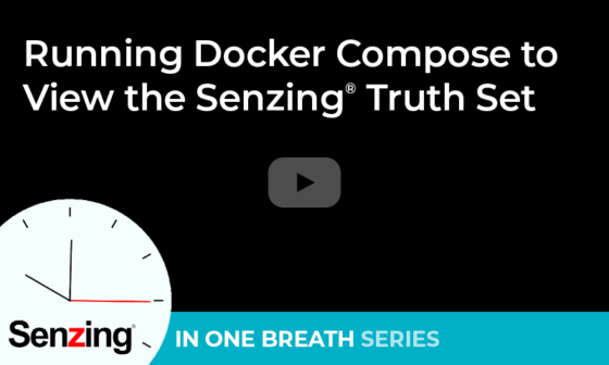Running Docker Compose to View the Senzing Truth Set