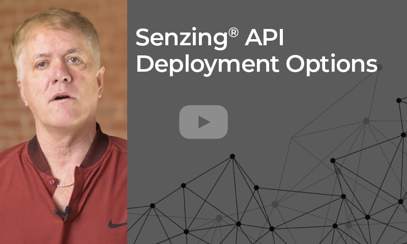 Senzing API Deployment Options