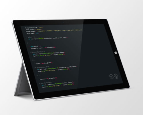 senzing-Api senzing-Api