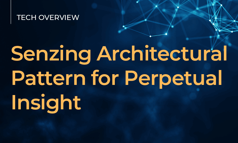 senzing-architectural-pattern-for-perpetual-insight